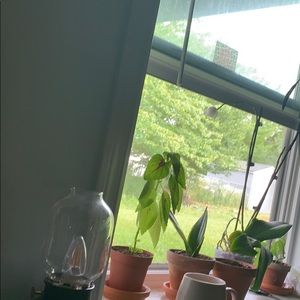 Meet your Posher, Ariana